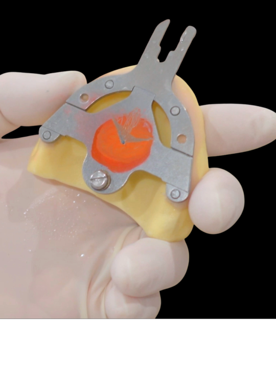 Kenitchi Matsuda course uk dentures (1)